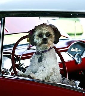 Classic Car by DeanSouglass Cropped
