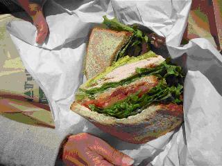 Klevins All American Sandwich Med J