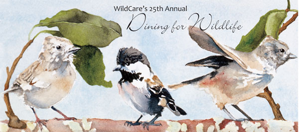 Wildcare 2010