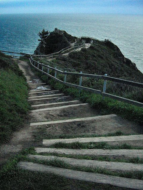 Muir Woods Overlook by Striatic