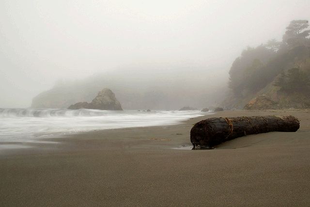 Muir Beach by latteda