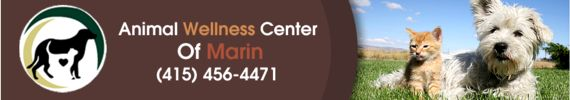 The Animal Wellness Center of Marin is a full service veterinary hospital in San Rafael offering a wide range of services including: Traditional Western Medicine, Chinese Medicine, Physical Rehabilitation, Underwater Treadmill, Low Level LASER therapy, Acupuncture, Dentistry, Surgery and Radiology.