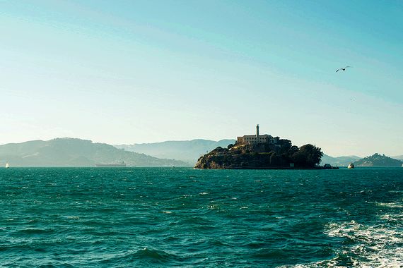 Alcatraz by Chase Elliott