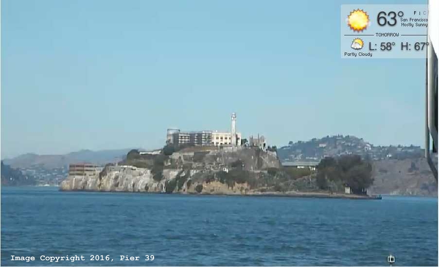 Alcatraz webcam